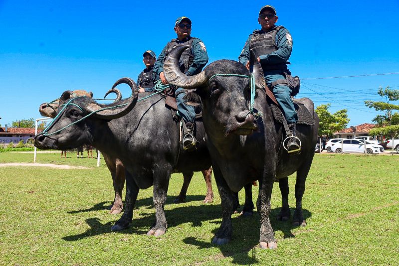  <div class='credito_fotos'>Foto: Bruno Cecim / Ag.Pará &nbsp;&nbsp;|&nbsp;&nbsp; <a href='/midias/2024/originais/20452_0ce6bba6-3927-e75d-76e9-28a4be7215e4.jpg' download><i class='fa-solid fa-download'></i> Download</a></div>