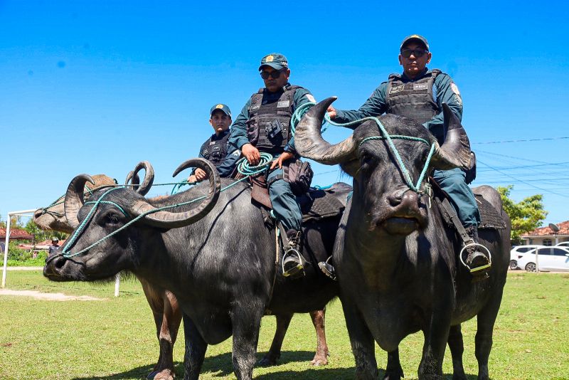  <div class='credito_fotos'>Foto: Bruno Cecim / Ag.Pará &nbsp;&nbsp;|&nbsp;&nbsp; <a href='/midias/2024/originais/20452_19098408-8866-fbb8-8c3f-449c269e9b9c.jpg' download><i class='fa-solid fa-download'></i> Download</a></div>