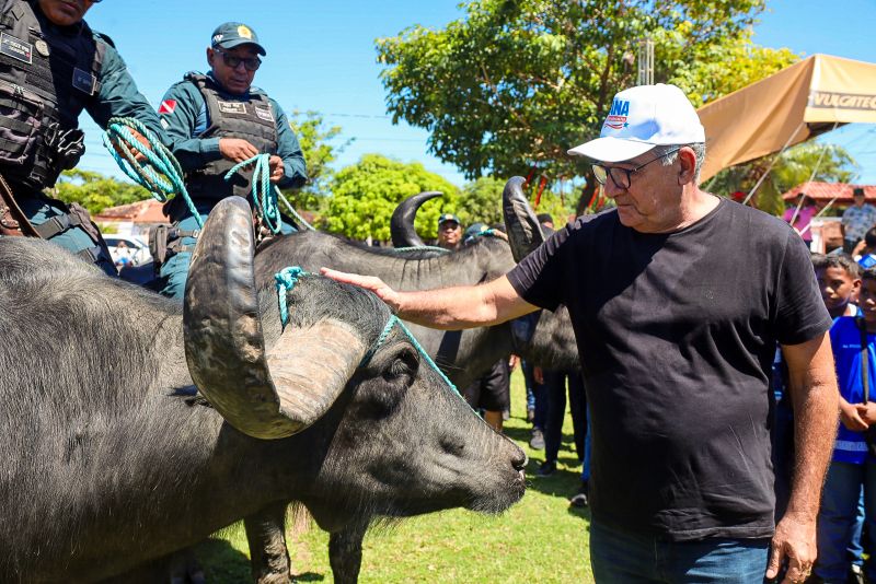  <div class='credito_fotos'>Foto: Bruno Cecim / Ag.Pará &nbsp;&nbsp;|&nbsp;&nbsp; <a href='/midias/2024/originais/20452_454a6c2d-2760-3db8-56a9-6ec1e950bf5d.jpg' download><i class='fa-solid fa-download'></i> Download</a></div>