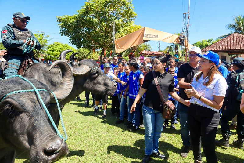  <div class='credito_fotos'>Foto: Bruno Cecim / Ag.Pará &nbsp;&nbsp;|&nbsp;&nbsp; <a href='/midias/2024/originais/20452_5a67a60e-3ac3-b529-bf83-6ccd0a1dd1cd.jpg' download><i class='fa-solid fa-download'></i> Download</a></div>