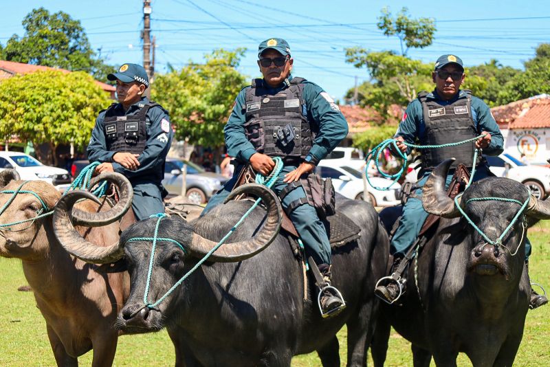  <div class='credito_fotos'>Foto: Bruno Cecim / Ag.Pará &nbsp;&nbsp;|&nbsp;&nbsp; <a href='/midias/2024/originais/20452_8bd46687-85e7-5aa2-f87a-f5c433eb08af.jpg' download><i class='fa-solid fa-download'></i> Download</a></div>