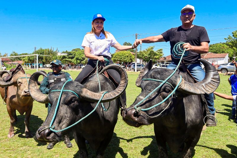  <div class='credito_fotos'>Foto: Bruno Cecim / Ag.Pará &nbsp;&nbsp;|&nbsp;&nbsp; <a href='/midias/2024/originais/20452_a69ceb0c-33d7-9692-7432-00a5c2127107.jpg' download><i class='fa-solid fa-download'></i> Download</a></div>