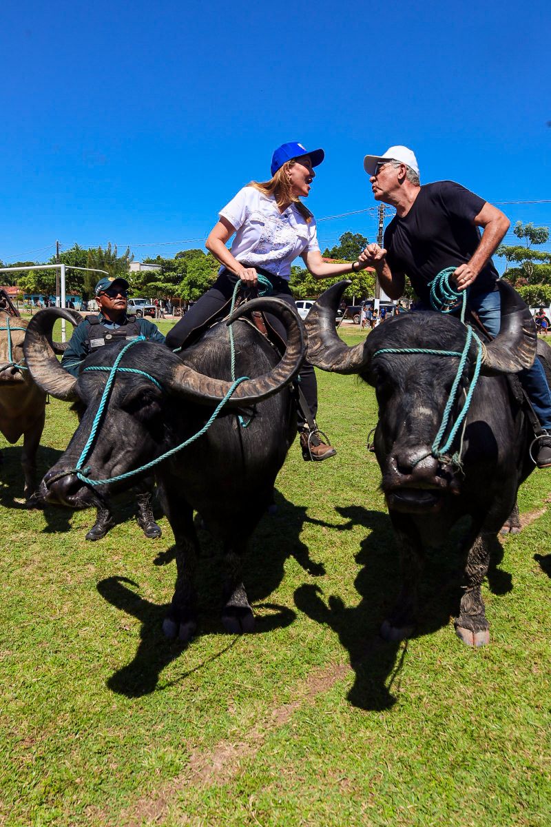  <div class='credito_fotos'>Foto: Bruno Cecim / Ag.Pará &nbsp;&nbsp;|&nbsp;&nbsp; <a href='/midias/2024/originais/20452_fd64e742-d334-d4f2-1312-eaa956eb8df2.jpg' download><i class='fa-solid fa-download'></i> Download</a></div>