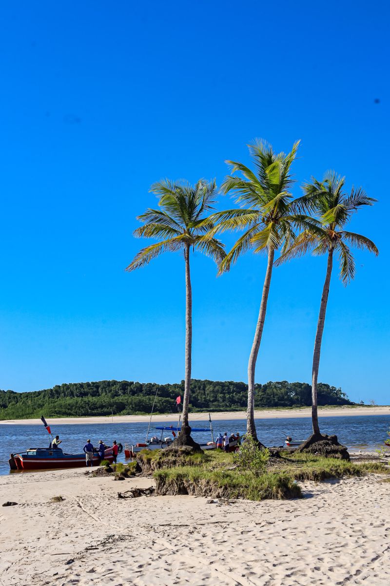  <div class='credito_fotos'>Foto: Bruno Cecim / Ag.Pará &nbsp;&nbsp;|&nbsp;&nbsp; <a href='/midias/2024/originais/20459_04a588ea-a234-494e-8a6b-9d0007438e2c.jpg' download><i class='fa-solid fa-download'></i> Download</a></div>