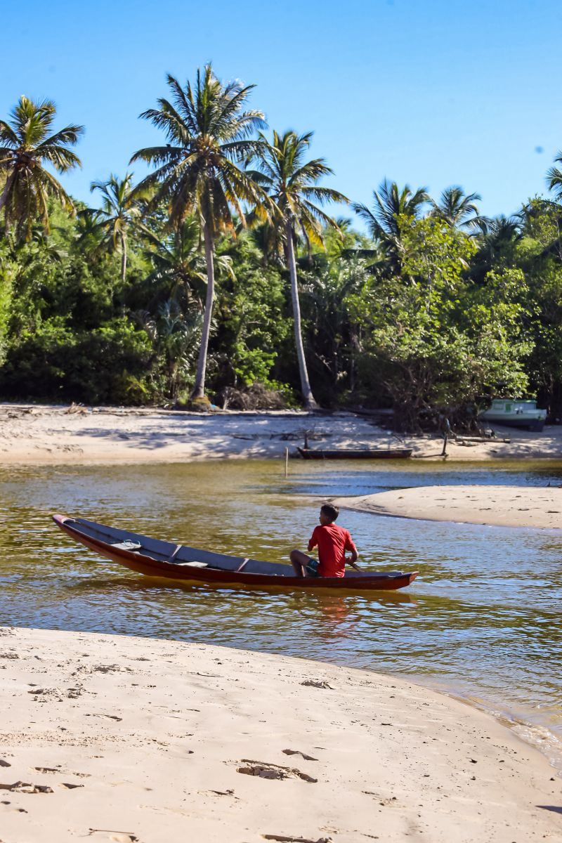  <div class='credito_fotos'>Foto: Bruno Cecim / Ag.Pará &nbsp;&nbsp;|&nbsp;&nbsp; <a href='/midias/2024/originais/20459_089dc7bc-2778-3bf8-cc6e-63d2c62fda03.jpg' download><i class='fa-solid fa-download'></i> Download</a></div>