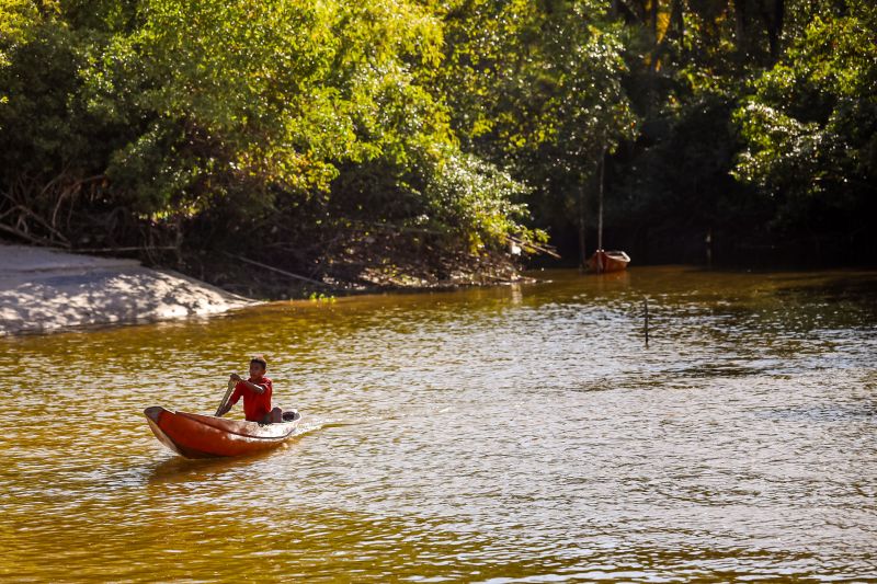  <div class='credito_fotos'>Foto: Bruno Cecim / Ag.Pará &nbsp;&nbsp;|&nbsp;&nbsp; <a href='/midias/2024/originais/20459_159bc552-8dc4-05c8-8b12-e9711a60b2e8.jpg' download><i class='fa-solid fa-download'></i> Download</a></div>