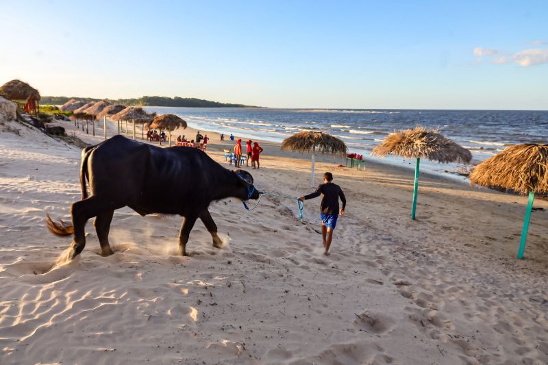  <div class='credito_fotos'>Foto: Bruno Cecim / Ag.Pará &nbsp;&nbsp;|&nbsp;&nbsp; <a href='/midias/2024/originais/20459_3a5efe86-031a-2e52-19b4-8eac13f95684.jpg' download><i class='fa-solid fa-download'></i> Download</a></div>