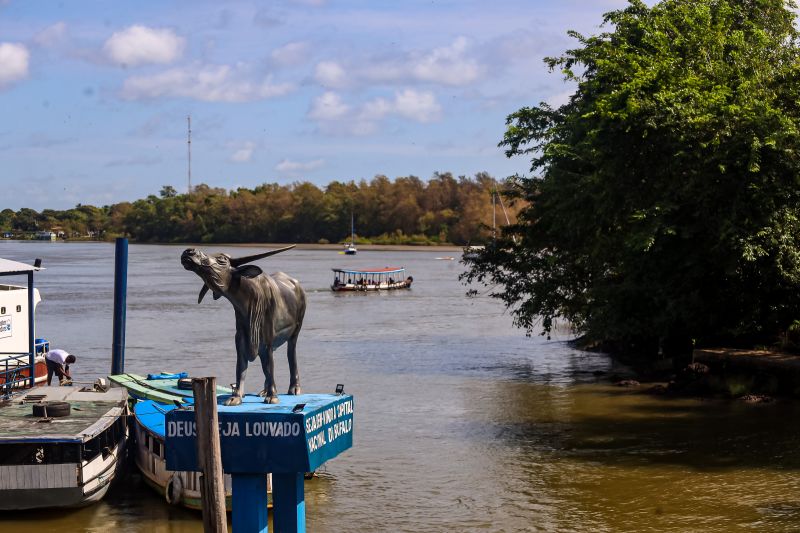  <div class='credito_fotos'>Foto: Bruno Cecim / Ag.Pará &nbsp;&nbsp;|&nbsp;&nbsp; <a href='/midias/2024/originais/20459_4d134865-7676-3c3e-51f5-8a3e3d048f03.jpg' download><i class='fa-solid fa-download'></i> Download</a></div>