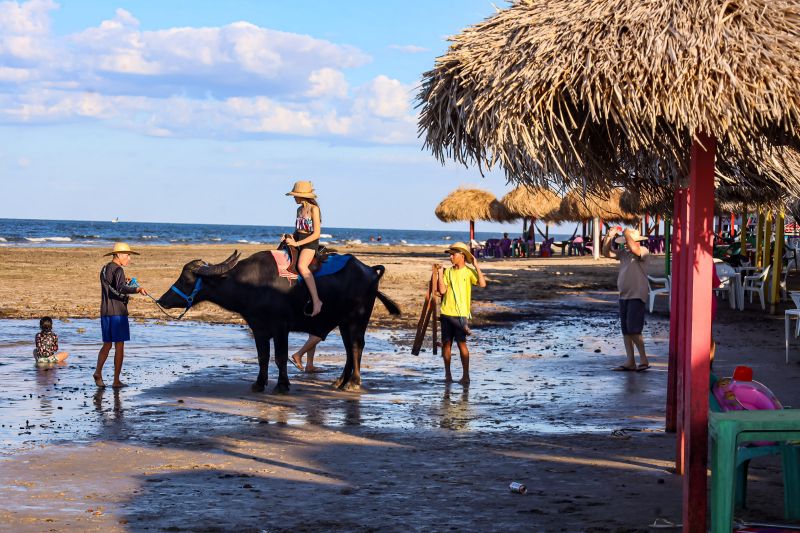  <div class='credito_fotos'>Foto: Bruno Cecim / Ag.Pará &nbsp;&nbsp;|&nbsp;&nbsp; <a href='/midias/2024/originais/20459_576b1794-c3dc-f826-f682-7bd4de59b986.jpg' download><i class='fa-solid fa-download'></i> Download</a></div>