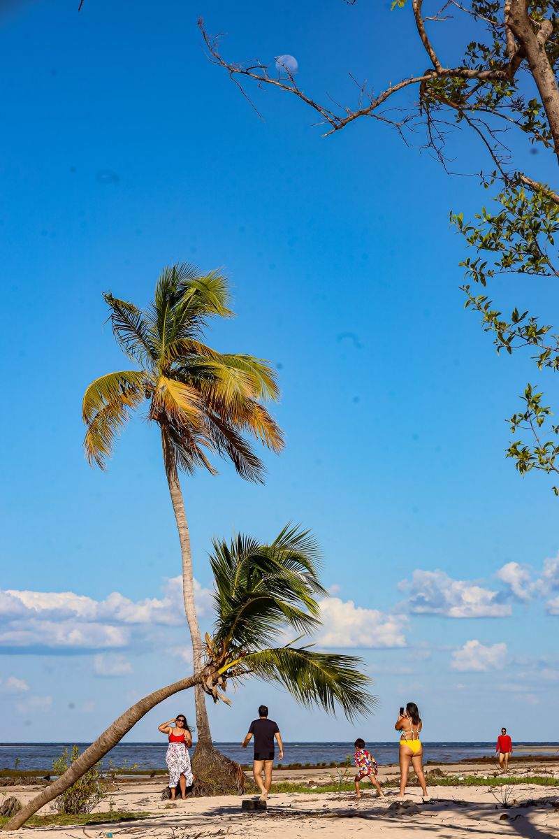  <div class='credito_fotos'>Foto: Bruno Cecim / Ag.Pará &nbsp;&nbsp;|&nbsp;&nbsp; <a href='/midias/2024/originais/20459_6369a956-20d9-d7b4-b834-bb196df3cdde.jpg' download><i class='fa-solid fa-download'></i> Download</a></div>