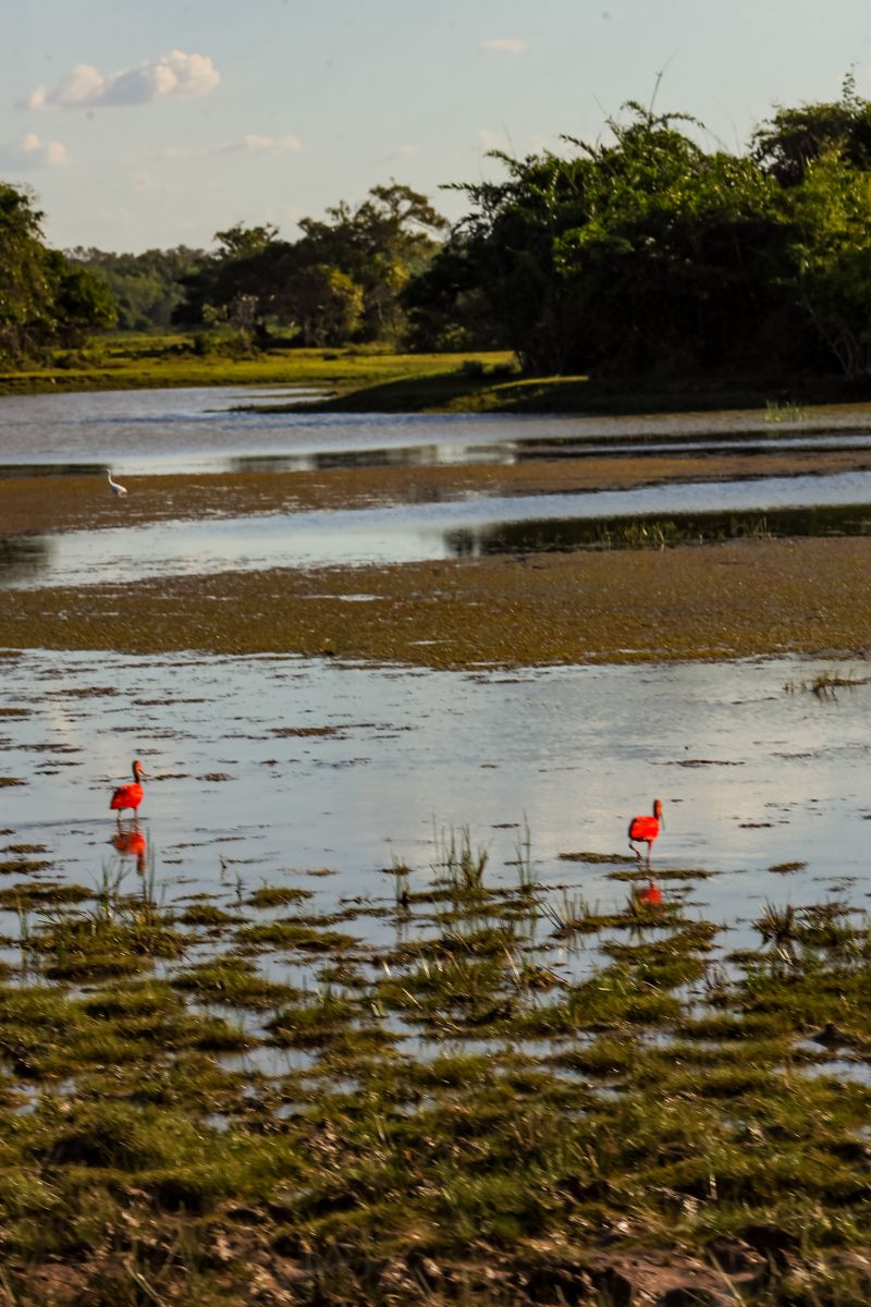  <div class='credito_fotos'>Foto: Bruno Cecim / Ag.Pará &nbsp;&nbsp;|&nbsp;&nbsp; <a href='/midias/2024/originais/20459_99b07f2e-455b-3d1d-53f2-5e498571d321.jpg' download><i class='fa-solid fa-download'></i> Download</a></div>