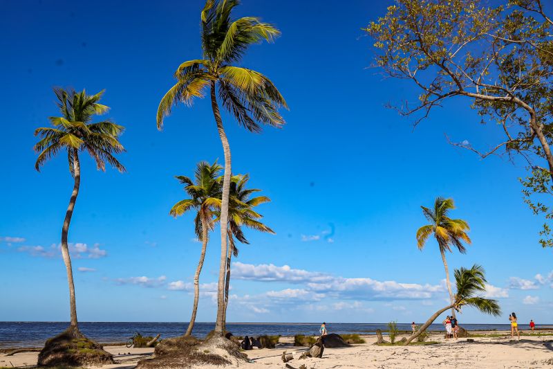  <div class='credito_fotos'>Foto: Bruno Cecim / Ag.Pará &nbsp;&nbsp;|&nbsp;&nbsp; <a href='/midias/2024/originais/20459_99e0570f-5163-09c2-094b-855135edb27d.jpg' download><i class='fa-solid fa-download'></i> Download</a></div>