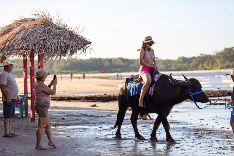  <div class='credito_fotos'>Foto: Bruno Cecim / Ag.Pará &nbsp;&nbsp;|&nbsp;&nbsp; <a href='/midias/2024/originais/20459_9c23da07-78bd-f013-009e-c974d1b0e372.jpg' download><i class='fa-solid fa-download'></i> Download</a></div>