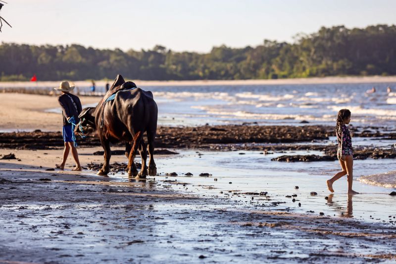  <div class='credito_fotos'>Foto: Bruno Cecim / Ag.Pará &nbsp;&nbsp;|&nbsp;&nbsp; <a href='/midias/2024/originais/20459_a1e76533-915c-4846-5a79-0b9c8208ce6e.jpg' download><i class='fa-solid fa-download'></i> Download</a></div>