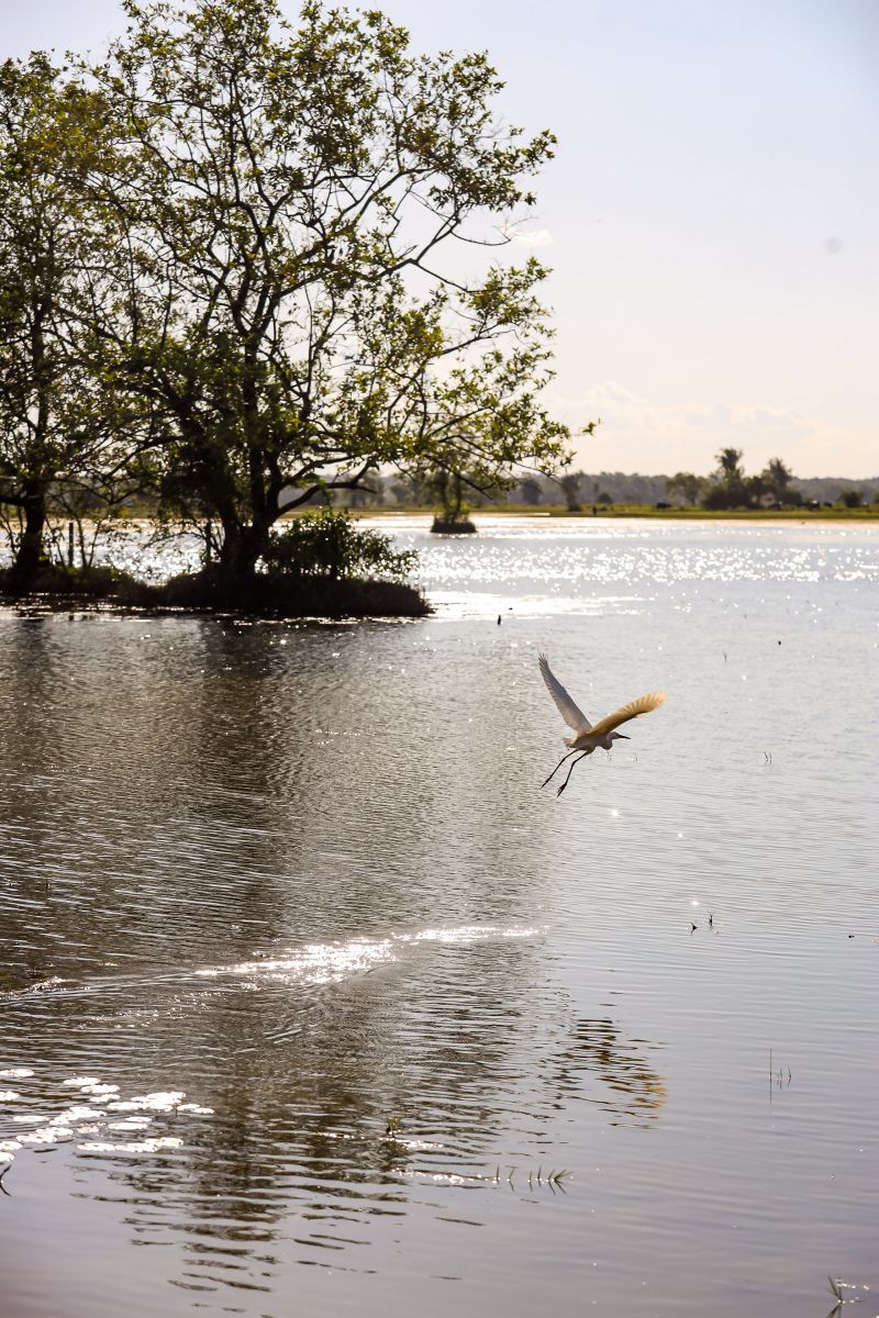  <div class='credito_fotos'>Foto: Bruno Cecim / Ag.Pará &nbsp;&nbsp;|&nbsp;&nbsp; <a href='/midias/2024/originais/20459_a38f57fd-cd9b-4786-3f72-e456b60cd406.jpg' download><i class='fa-solid fa-download'></i> Download</a></div>