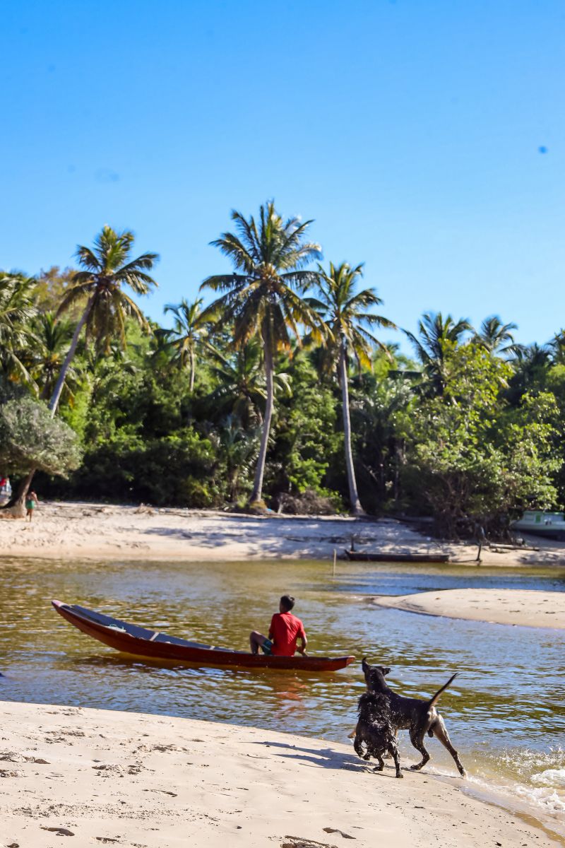  <div class='credito_fotos'>Foto: Bruno Cecim / Ag.Pará &nbsp;&nbsp;|&nbsp;&nbsp; <a href='/midias/2024/originais/20459_ad1d2329-0118-77c3-fe3d-16497ee353f2.jpg' download><i class='fa-solid fa-download'></i> Download</a></div>