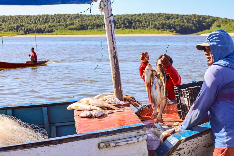  <div class='credito_fotos'>Foto: Bruno Cecim / Ag.Pará &nbsp;&nbsp;|&nbsp;&nbsp; <a href='/midias/2024/originais/20459_b022ec77-41cf-32a1-b5f4-3d00757d7ed5.jpg' download><i class='fa-solid fa-download'></i> Download</a></div>