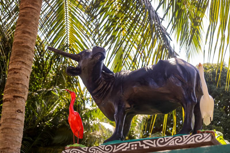  <div class='credito_fotos'>Foto: Bruno Cecim / Ag.Pará &nbsp;&nbsp;|&nbsp;&nbsp; <a href='/midias/2024/originais/20459_b638f0d2-5dba-0c0c-8df1-15d1095306c7.jpg' download><i class='fa-solid fa-download'></i> Download</a></div>