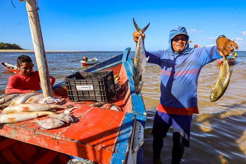  <div class='credito_fotos'>Foto: Bruno Cecim / Ag.Pará &nbsp;&nbsp;|&nbsp;&nbsp; <a href='/midias/2024/originais/20459_b8c7b54b-97b5-8b7d-2d62-9f30dd7e8999.jpg' download><i class='fa-solid fa-download'></i> Download</a></div>