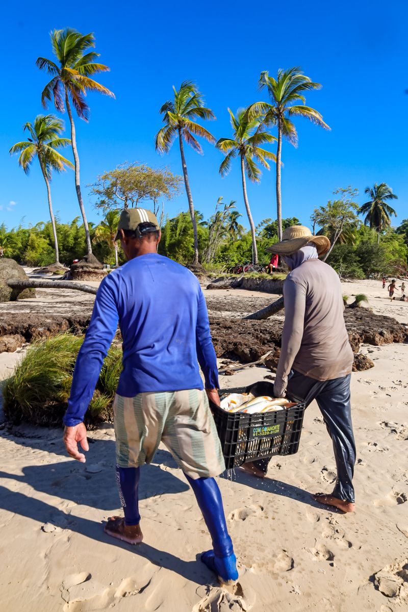  <div class='credito_fotos'>Foto: Bruno Cecim / Ag.Pará &nbsp;&nbsp;|&nbsp;&nbsp; <a href='/midias/2024/originais/20459_bedfbcc4-a1a0-805a-9fe0-cbf68d0012af.jpg' download><i class='fa-solid fa-download'></i> Download</a></div>