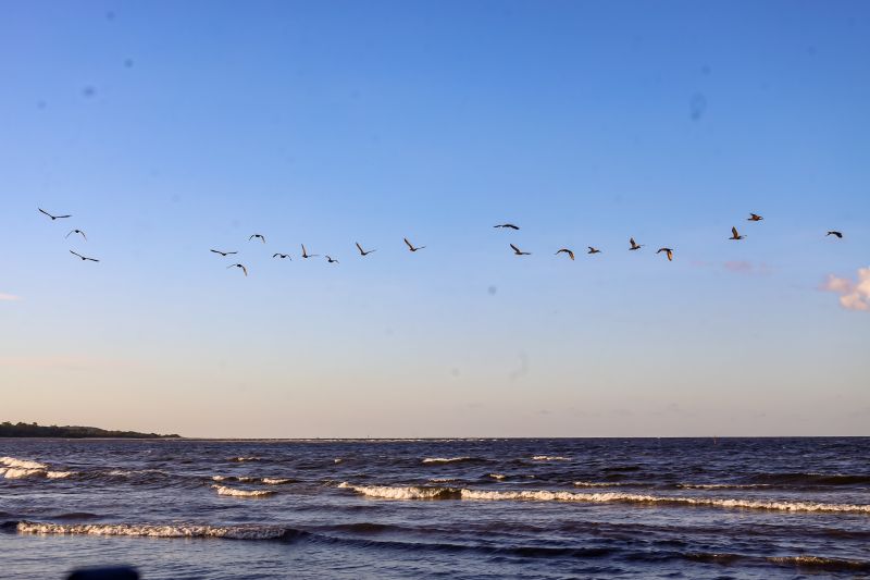  <div class='credito_fotos'>Foto: Bruno Cecim / Ag.Pará &nbsp;&nbsp;|&nbsp;&nbsp; <a href='/midias/2024/originais/20459_d36a8f09-4d1b-edac-ba4d-66c8b19499e8.jpg' download><i class='fa-solid fa-download'></i> Download</a></div>