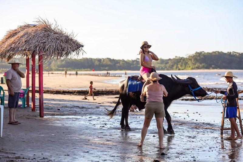  <div class='credito_fotos'>Foto: Bruno Cecim / Ag.Pará &nbsp;&nbsp;|&nbsp;&nbsp; <a href='/midias/2024/originais/20459_e6fa86bb-d7ea-b291-6edc-967ccb49285e.jpg' download><i class='fa-solid fa-download'></i> Download</a></div>