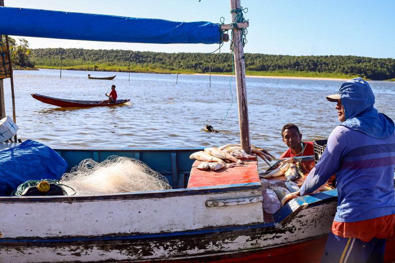  <div class='credito_fotos'>Foto: Bruno Cecim / Ag.Pará &nbsp;&nbsp;|&nbsp;&nbsp; <a href='/midias/2024/originais/20459_f8f21483-094c-bc98-15fc-0241c1441ac4.jpg' download><i class='fa-solid fa-download'></i> Download</a></div>