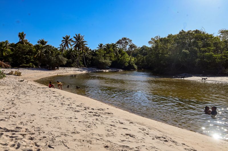  <div class='credito_fotos'>Foto: Bruno Cecim / Ag.Pará &nbsp;&nbsp;|&nbsp;&nbsp; <a href='/midias/2024/originais/20459_fb410781-ac1f-bc56-faa4-c3f2a914cee6.jpg' download><i class='fa-solid fa-download'></i> Download</a></div>