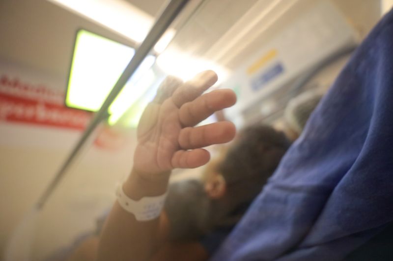  <div class='credito_fotos'>Foto: Pedro Guerreiro / Ag. Pará &nbsp;&nbsp;|&nbsp;&nbsp; <a href='/midias/2024/originais/20563_9d7f8ab7-18aa-f66d-c1b1-a942864cf6eb.jpg' download><i class='fa-solid fa-download'></i> Download</a></div>