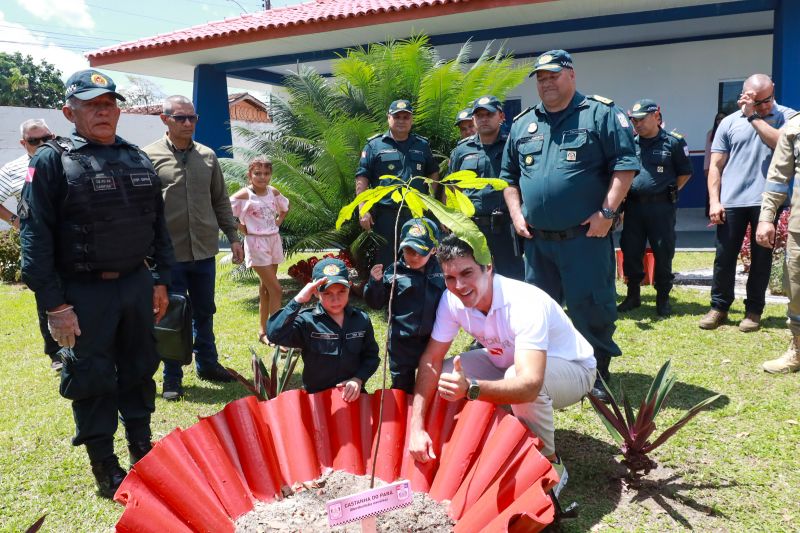  <div class='credito_fotos'>Foto: Bruno Cruz / Ag. Pará &nbsp;&nbsp;|&nbsp;&nbsp; <a href='/midias/2024/originais/20578_50bacc58-16f1-5fe9-fd94-95191e585c6f.jpg' download><i class='fa-solid fa-download'></i> Download</a></div>