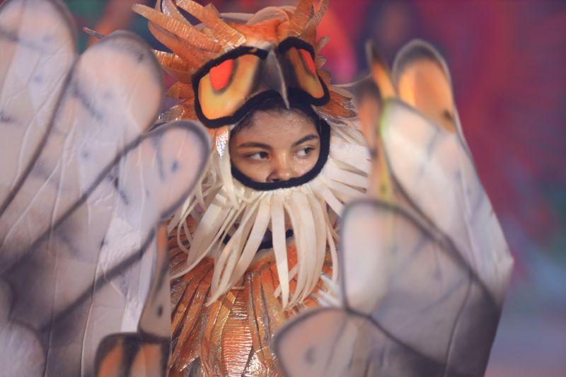  <div class='credito_fotos'>Foto: Bruno Cecim / Ag.Pará &nbsp;&nbsp;|&nbsp;&nbsp; <a href='/midias/2024/originais/20580_6ae75f8d-99c1-67c1-5456-519c50661001.jpg' download><i class='fa-solid fa-download'></i> Download</a></div>