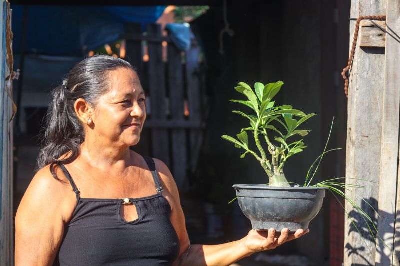 Maria Vânia Melo da Silva - Dona de Casa <div class='credito_fotos'>Foto: Bruno Cecim / Ag.Pará &nbsp;&nbsp;|&nbsp;&nbsp; <a href='/midias/2024/originais/20584_b445111e-1db8-3bb5-7fe6-f31fe620a7aa.jpg' download><i class='fa-solid fa-download'></i> Download</a></div>