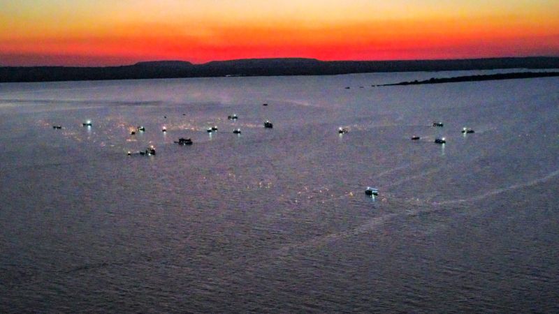 DCIM\100MEDIA\DJI_0182.JPG <div class='credito_fotos'>Foto: Roni Moreira / Ag.Pará &nbsp;&nbsp;|&nbsp;&nbsp; <a href='/midias/2024/originais/20587_eeb2b3e4-d7b9-c668-123a-30aea9a812c0.jpg' download><i class='fa-solid fa-download'></i> Download</a></div>