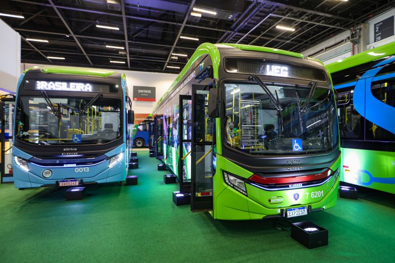  <div class='credito_fotos'>Foto: Marco Santos / Ag. Pará &nbsp;&nbsp;|&nbsp;&nbsp; <a href='/midias/2024/originais/20599_05513ae8-8472-e3d3-305a-d21548a22398.jpg' download><i class='fa-solid fa-download'></i> Download</a></div>