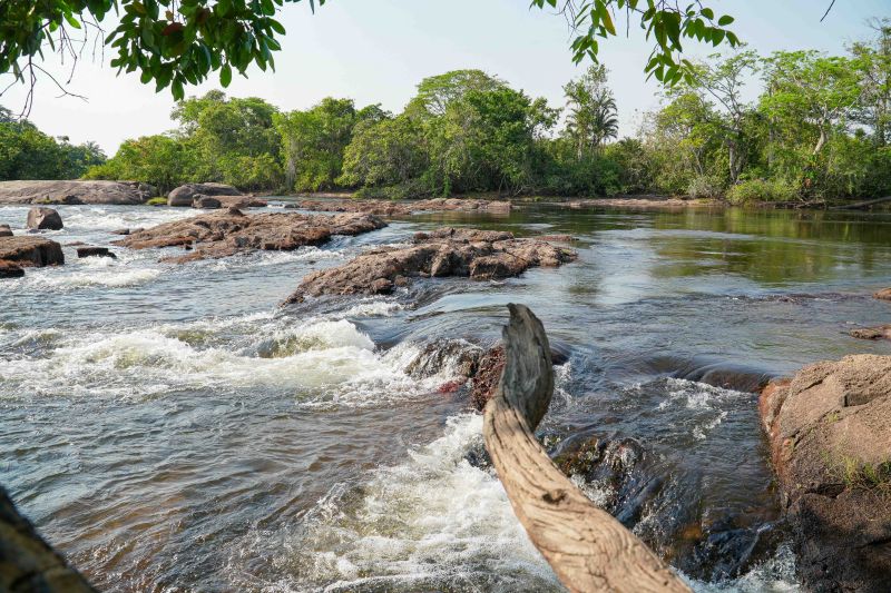  <div class='credito_fotos'>Foto: Roni Moreira / Ag.Pará &nbsp;&nbsp;|&nbsp;&nbsp; <a href='/midias/2024/originais/20603_41a07408-671e-90bd-e5a6-d5102470217f.jpg' download><i class='fa-solid fa-download'></i> Download</a></div>