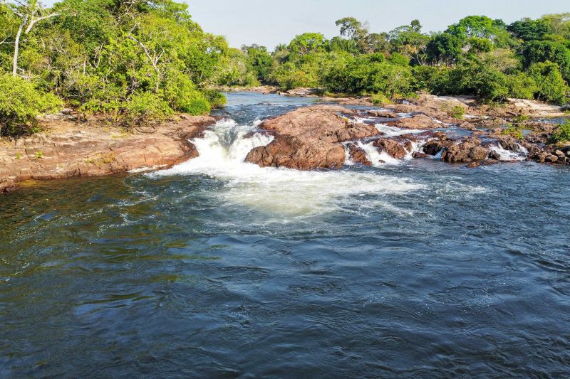 DCIM\100MEDIA\DJI_0264.JPG <div class='credito_fotos'>Foto: Roni Moreira / Ag.Pará &nbsp;&nbsp;|&nbsp;&nbsp; <a href='/midias/2024/originais/20603_4f62c45a-38a6-5929-57eb-8dc5e1d68989.jpg' download><i class='fa-solid fa-download'></i> Download</a></div>