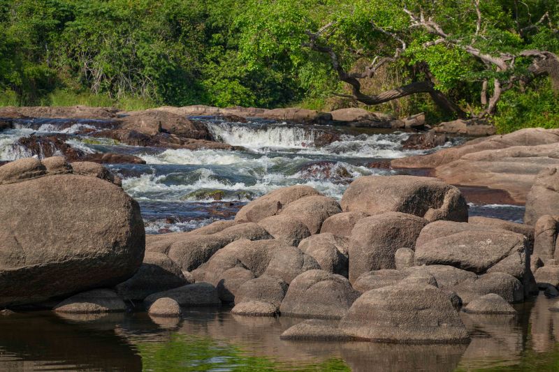  <div class='credito_fotos'>Foto: Roni Moreira / Ag.Pará &nbsp;&nbsp;|&nbsp;&nbsp; <a href='/midias/2024/originais/20603_6057ad30-e203-fb8f-3225-5a00be1b819d.jpg' download><i class='fa-solid fa-download'></i> Download</a></div>