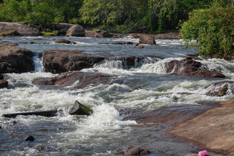  <div class='credito_fotos'>Foto: Roni Moreira / Ag.Pará &nbsp;&nbsp;|&nbsp;&nbsp; <a href='/midias/2024/originais/20603_6eb89031-8451-46e1-7a44-942abed5a5d3.jpg' download><i class='fa-solid fa-download'></i> Download</a></div>