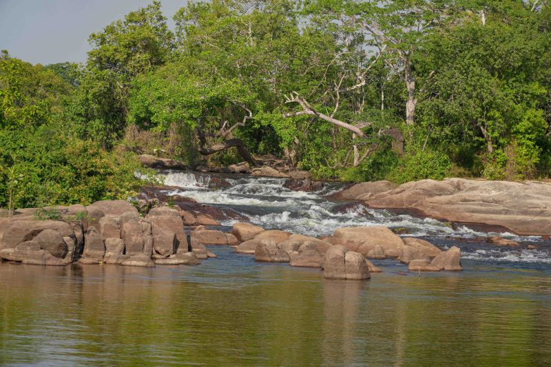  <div class='credito_fotos'>Foto: Roni Moreira / Ag.Pará &nbsp;&nbsp;|&nbsp;&nbsp; <a href='/midias/2024/originais/20603_882f46cb-ec66-39ea-8c6d-27b8397577e7.jpg' download><i class='fa-solid fa-download'></i> Download</a></div>