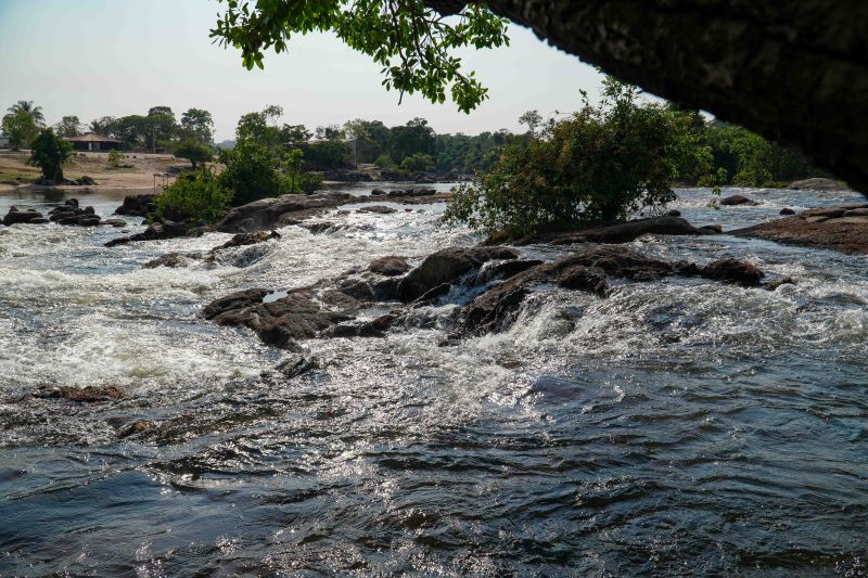  <div class='credito_fotos'>Foto: Roni Moreira / Ag.Pará &nbsp;&nbsp;|&nbsp;&nbsp; <a href='/midias/2024/originais/20603_8bcb8df1-24e9-fd4a-6b08-867692c006f6.jpg' download><i class='fa-solid fa-download'></i> Download</a></div>