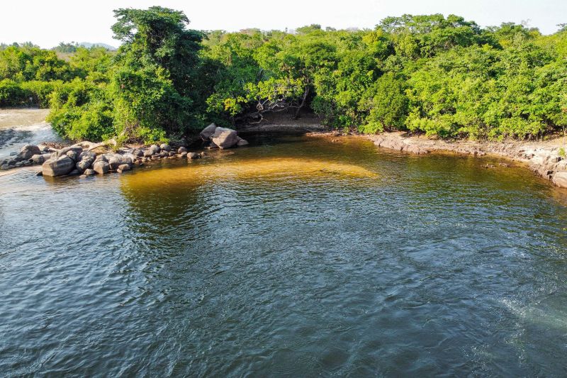 DCIM\100MEDIA\DJI_0263.JPG <div class='credito_fotos'>Foto: Roni Moreira / Ag.Pará &nbsp;&nbsp;|&nbsp;&nbsp; <a href='/midias/2024/originais/20603_8cf1e43f-aa13-37d4-f390-09268ca65581.jpg' download><i class='fa-solid fa-download'></i> Download</a></div>