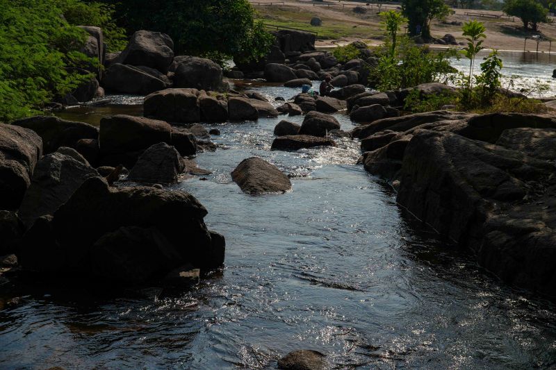  <div class='credito_fotos'>Foto: Roni Moreira / Ag.Pará &nbsp;&nbsp;|&nbsp;&nbsp; <a href='/midias/2024/originais/20603_964401d0-0ffc-0690-b861-e162853cd1cf.jpg' download><i class='fa-solid fa-download'></i> Download</a></div>