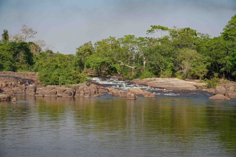  <div class='credito_fotos'>Foto: Roni Moreira / Ag.Pará &nbsp;&nbsp;|&nbsp;&nbsp; <a href='/midias/2024/originais/20603_a48dc064-e0e6-839a-ec29-4d322f1a1347.jpg' download><i class='fa-solid fa-download'></i> Download</a></div>