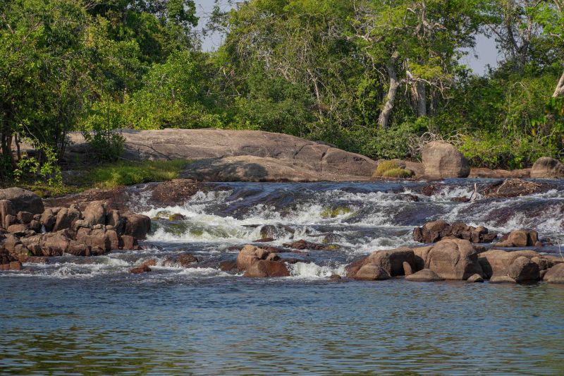  <div class='credito_fotos'>Foto: Roni Moreira / Ag.Pará &nbsp;&nbsp;|&nbsp;&nbsp; <a href='/midias/2024/originais/20603_c7db47da-0b06-1ad3-2e9e-57051784fb48.jpg' download><i class='fa-solid fa-download'></i> Download</a></div>