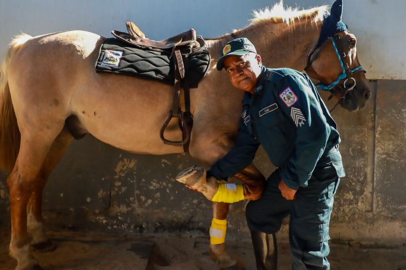  <div class='credito_fotos'>Foto: Bruno Cruz / Ag. Pará &nbsp;&nbsp;|&nbsp;&nbsp; <a href='/midias/2024/originais/20608_004ac93e-a82f-00d5-de18-470076eb05cf.jpg' download><i class='fa-solid fa-download'></i> Download</a></div>