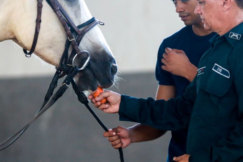  <div class='credito_fotos'>Foto: Bruno Cruz / Ag. Pará &nbsp;&nbsp;|&nbsp;&nbsp; <a href='/midias/2024/originais/20608_012b1b09-0043-2afb-d636-62214c8df3ee.jpg' download><i class='fa-solid fa-download'></i> Download</a></div>