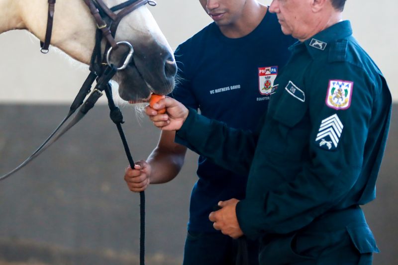  <div class='credito_fotos'>Foto: Bruno Cruz / Ag. Pará &nbsp;&nbsp;|&nbsp;&nbsp; <a href='/midias/2024/originais/20608_0350f86e-f84f-f3e6-6158-7174e65306c0.jpg' download><i class='fa-solid fa-download'></i> Download</a></div>