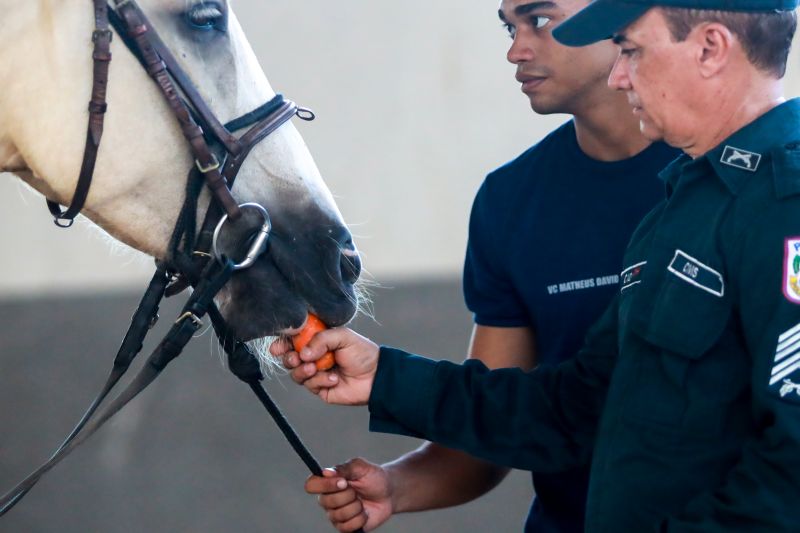  <div class='credito_fotos'>Foto: Bruno Cruz / Ag. Pará &nbsp;&nbsp;|&nbsp;&nbsp; <a href='/midias/2024/originais/20608_03542b0f-bfb1-cb35-77a7-7501af835b65.jpg' download><i class='fa-solid fa-download'></i> Download</a></div>
