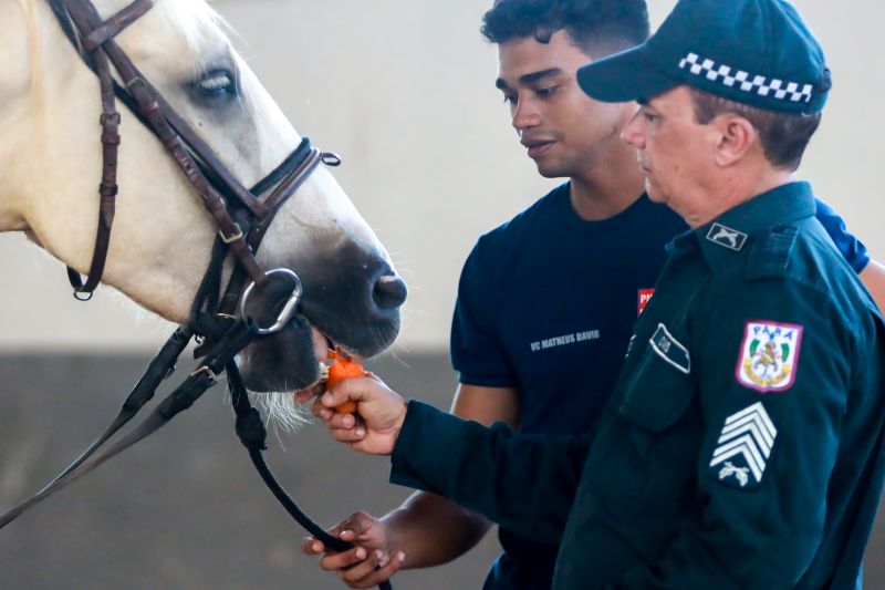  <div class='credito_fotos'>Foto: Bruno Cruz / Ag. Pará &nbsp;&nbsp;|&nbsp;&nbsp; <a href='/midias/2024/originais/20608_0d58d367-d8b8-b6e3-92e8-241fc27700a1.jpg' download><i class='fa-solid fa-download'></i> Download</a></div>