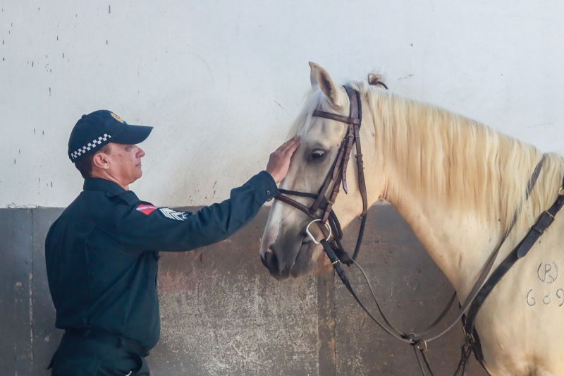  <div class='credito_fotos'>Foto: Bruno Cruz / Ag. Pará &nbsp;&nbsp;|&nbsp;&nbsp; <a href='/midias/2024/originais/20608_1250a629-7dc3-03c1-b24a-fa6b1c3da032.jpg' download><i class='fa-solid fa-download'></i> Download</a></div>